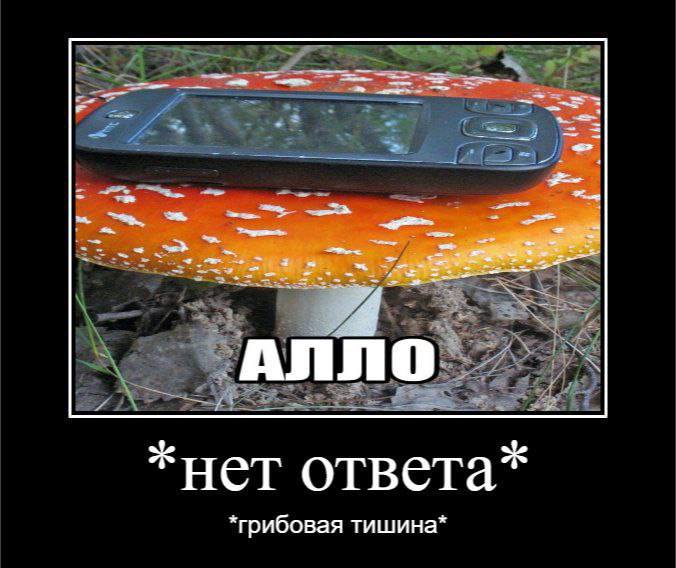 я АЛЛО *нет ответа* *грибовая тишина*