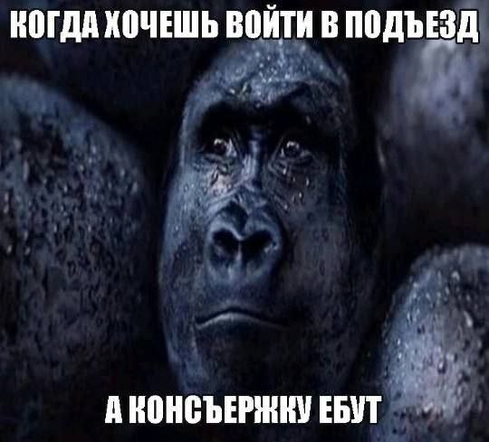 КОГДА ХОЧЕШЬ ВОЙТИ В ПОДЪЕЗД А КОНСЪЕРНКУ ЕБУТ
