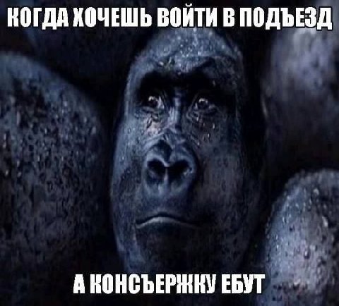 КОГДА ХОЧЕШЬ ВОЙТИ В ПОДЪЕЗД А КОНСЪЕРНКУ ЕБУТ