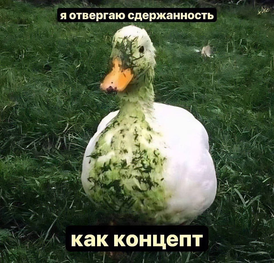 я отвергаю сдержанность как концепт