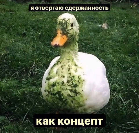 я отвергаю сдержанность как концепт