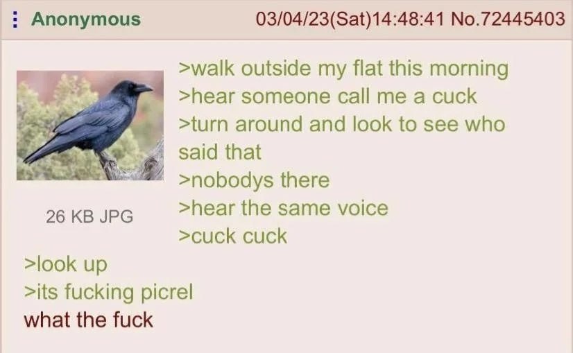 Anonymous 03/04/23(Sat)14:48:41 No.72445403 >walk outside my flat this morning сам >hear someone call me а cuck around and look to see who said that there 26 JPG >hear the same voice >cuck cuck >look 