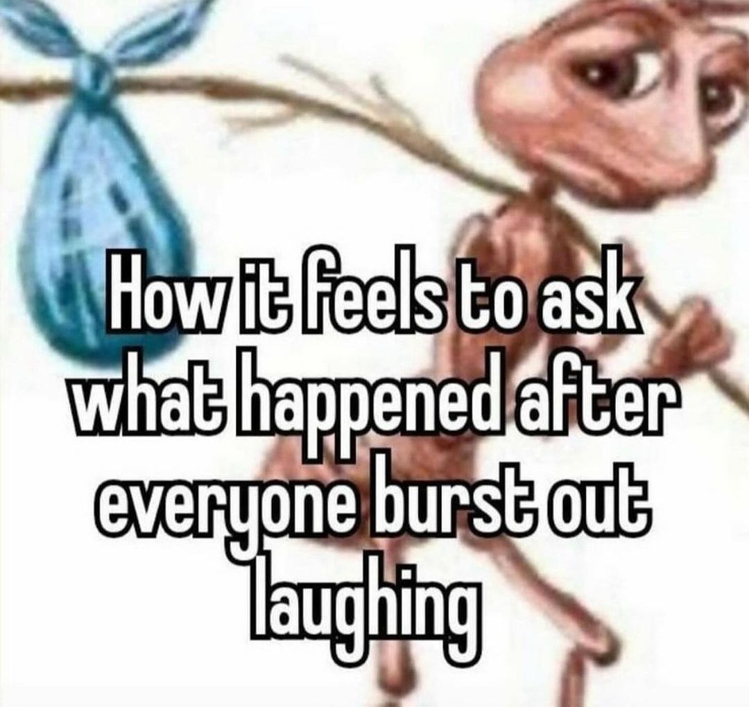 4 everyone faughing