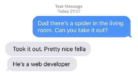 Text Message Today 21:07 Dad there’s a spider in the living room. Can you take it out? Took it out. Pretty nice fella Не'$ a web developer