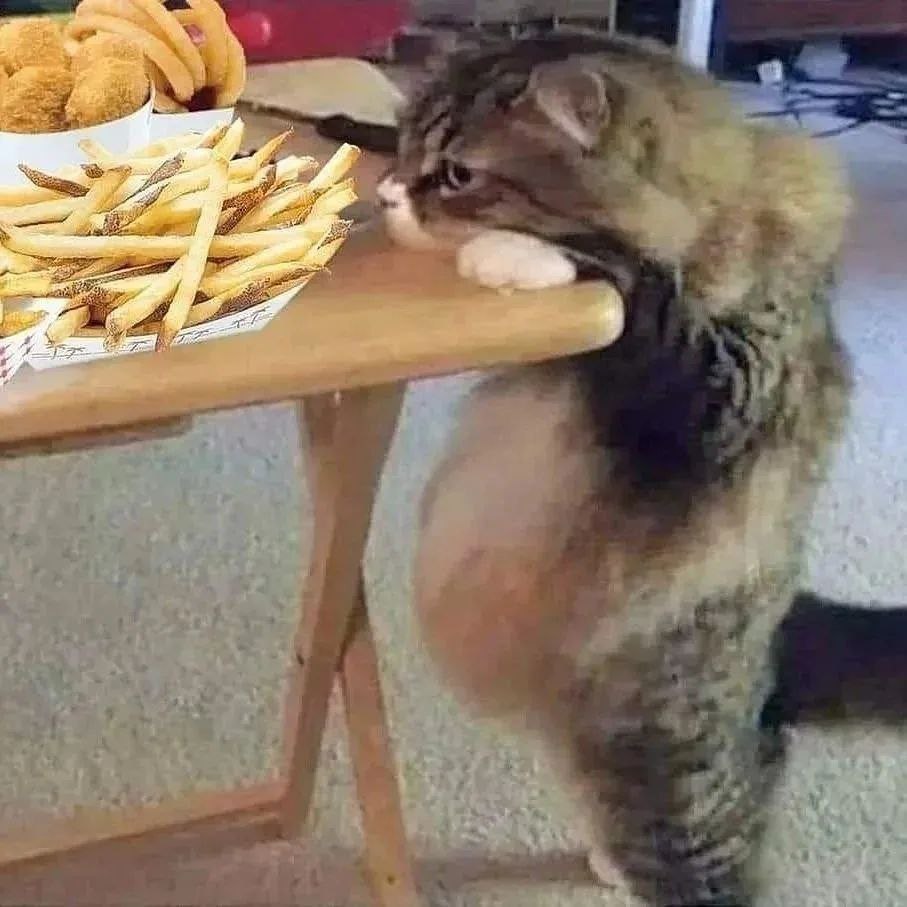 4 4