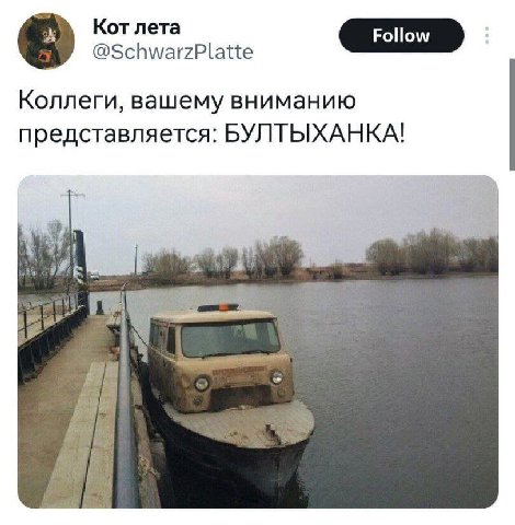 Кот лета @SchwarzPlatte Follow Коллеги, вашему вниманию представляется: БУЛТЫХАНКА!