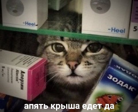 апять крыша едет да