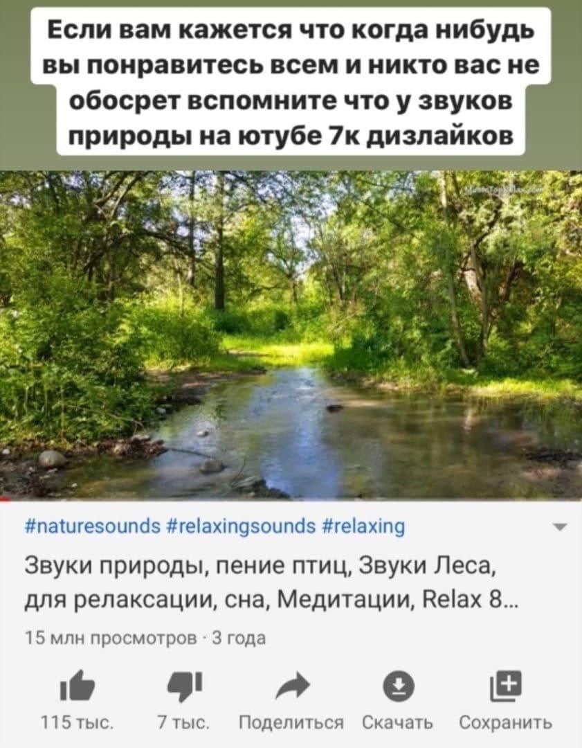 Если вам кажется что когда нибудь вы понравитесь всем и никто вас не обосрет вспомните что у звуков природы на ютубе 7к дизлайков if a? #naturesounds #relaxingsounds #relaxing Звуки природы, пение пти