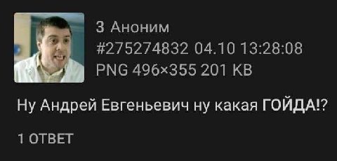 9 3 АНОНИМ #2/75274832 04.10 13:28:08 РМС 201 Ну Андрей Евгеньевич ну какая ГОЙДА!? 1 ОТВЕТ