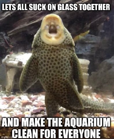 LETS ALL SUCK ON GLASS TOGETHER AND MAKE THE AQUARIUMs CLEAN FOR EVERYONE
