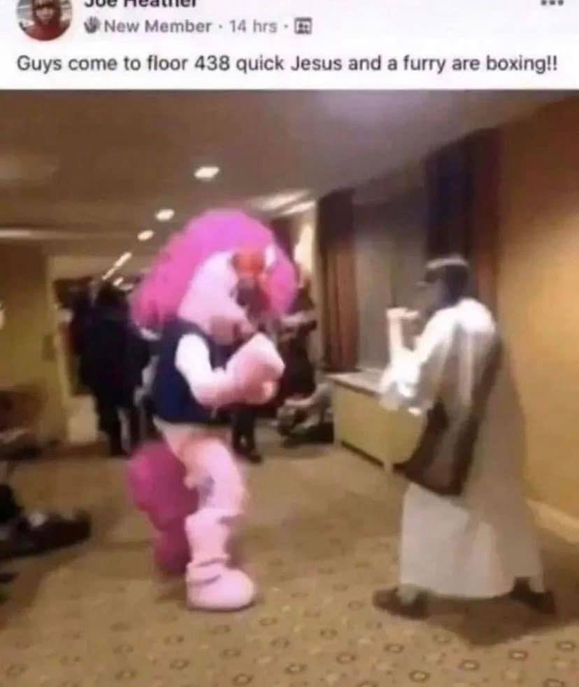 New Member 14 hrs Guys come to floor 438 quick Jesus and a furry are boxing!! 4