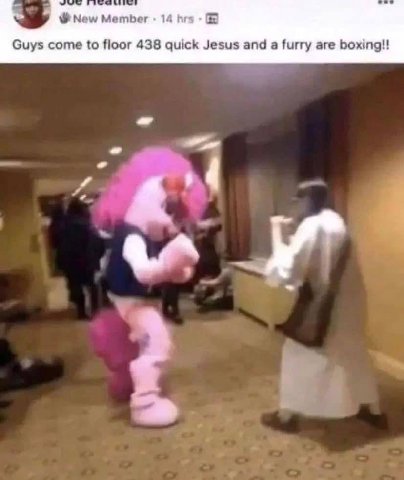 New Member 14 hrs Guys come to floor 438 quick Jesus and a furry are boxing!! 4