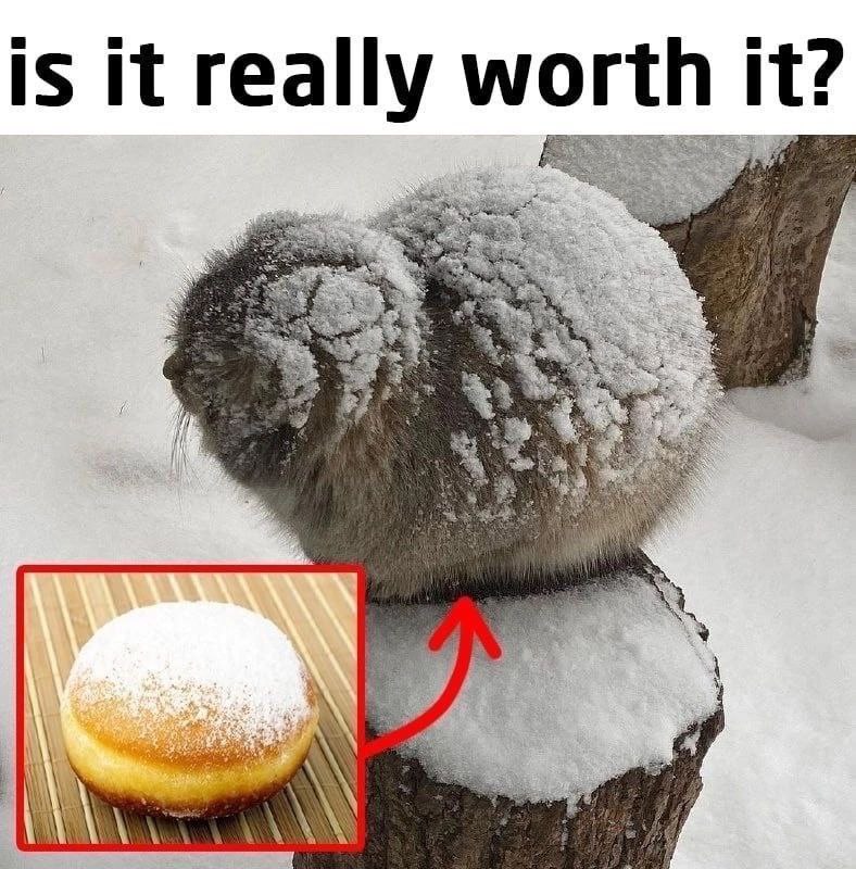 is it really worth it?
