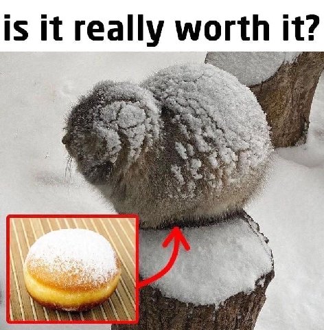 is it really worth it?