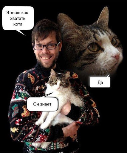 Я знаю как хватать кота