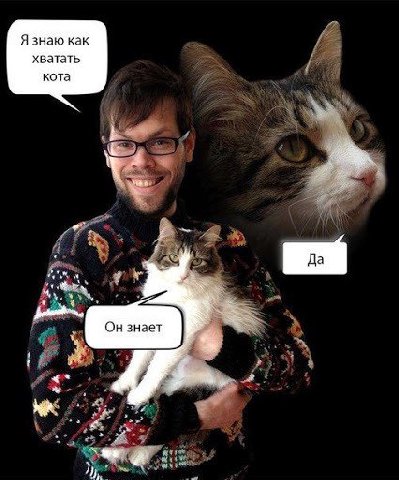 Я знаю как хватать кота