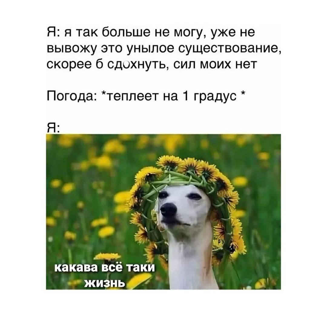Я: я так больше не могу, уже не вывожу это унылое существование, скорее 6 сдохнуть, сил моих нет Погода: *теплеет на 1 градус Я: 3 какава всё таки жизнь 8