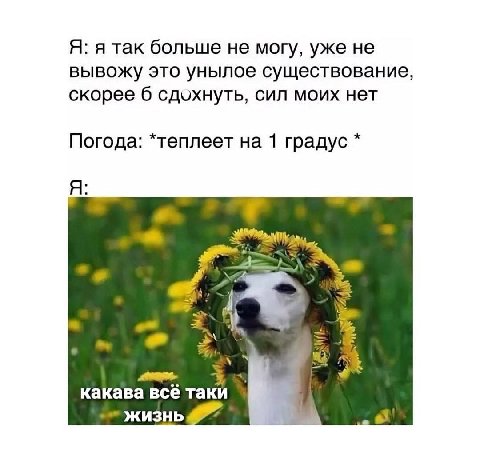 Я: я так больше не могу, уже не вывожу это унылое существование, скорее 6 сдохнуть, сил моих нет Погода: *теплеет на 1 градус Я: 3 какава всё таки жизнь 8