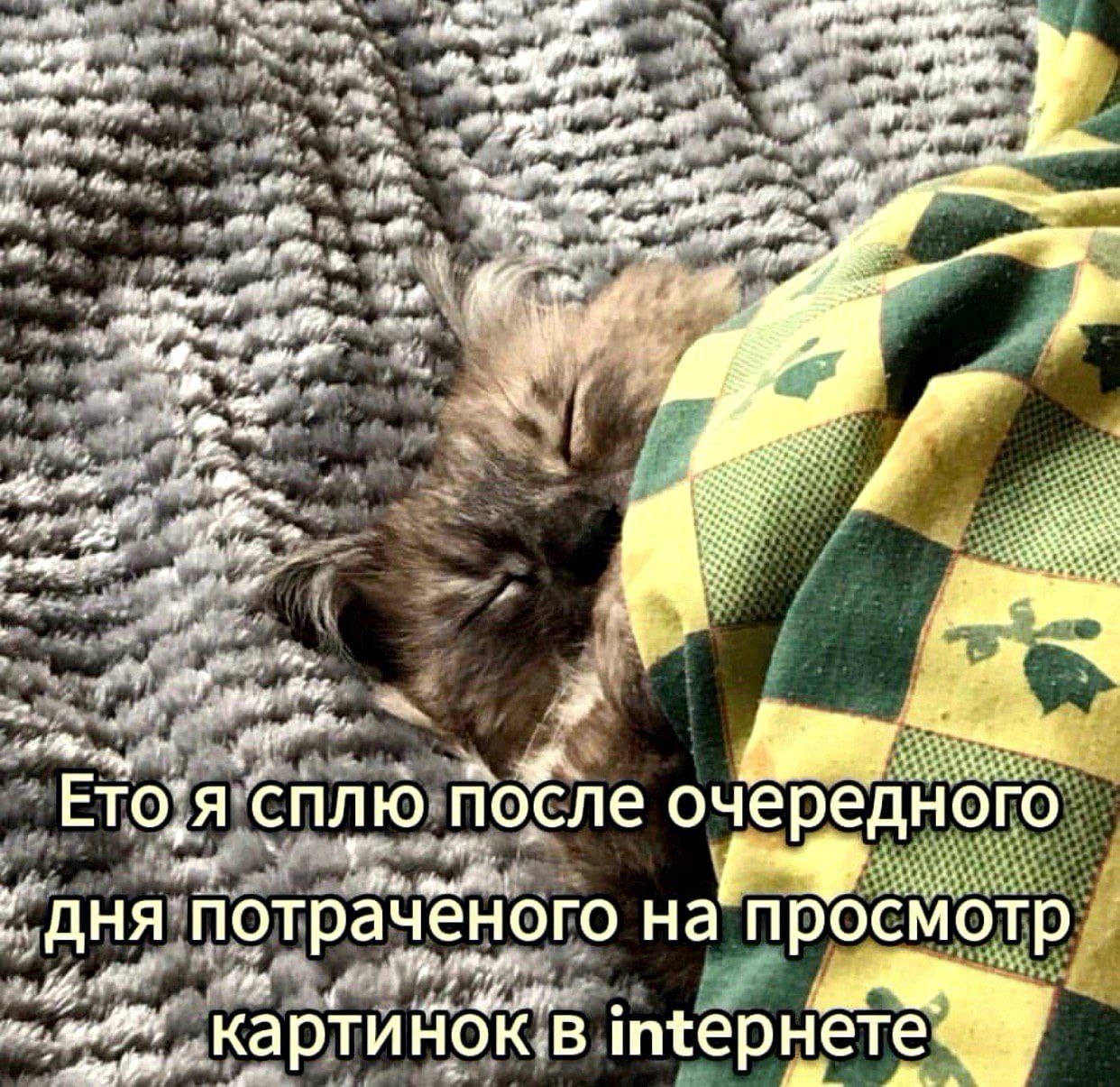 4 AS Ето,я сплю после очередного ДНЯ Потраченого на просмотр intepHeTe 2