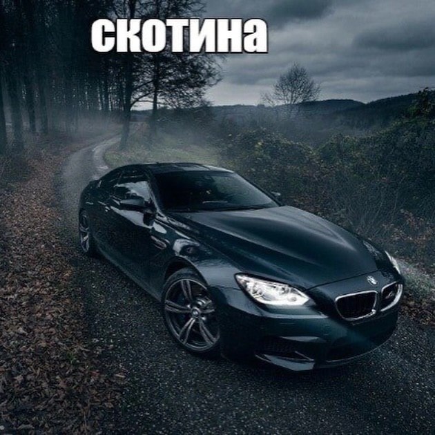 скотина