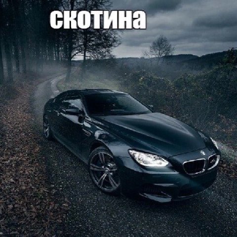 скотина