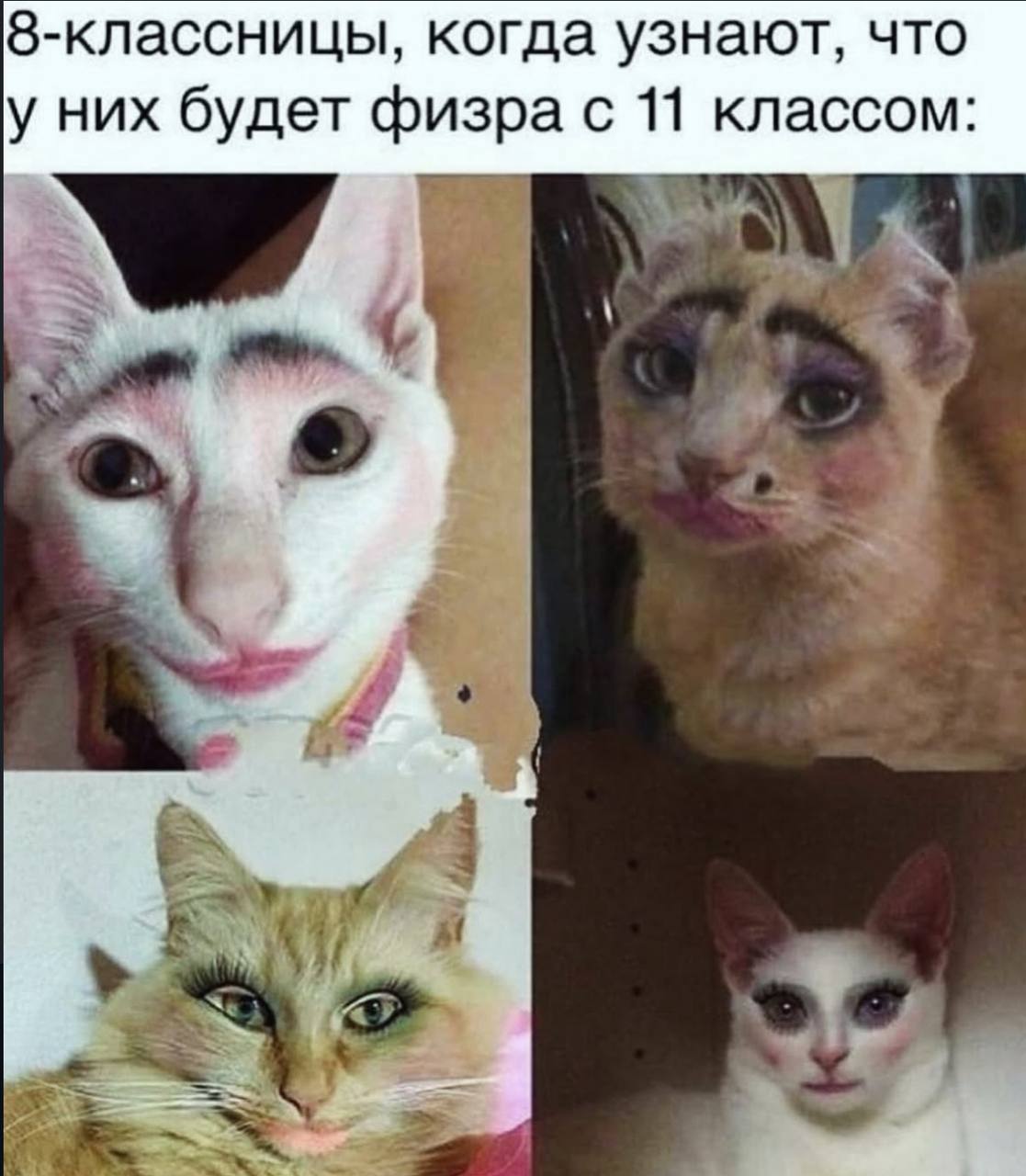 8-классницы, когда узнают, что у них будет физра с 11 классом: A,
