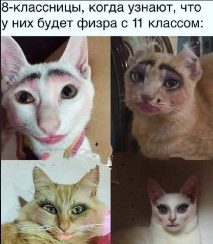 8-классницы, когда узнают, что у них будет физра с 11 классом: A,