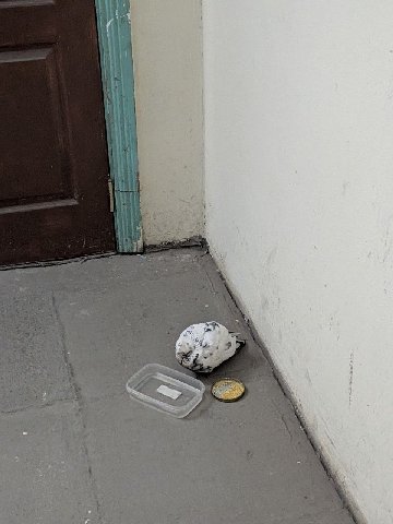 я щас разрыдаюсь.