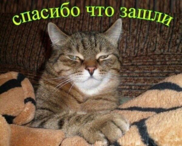 что зашли, 4 we