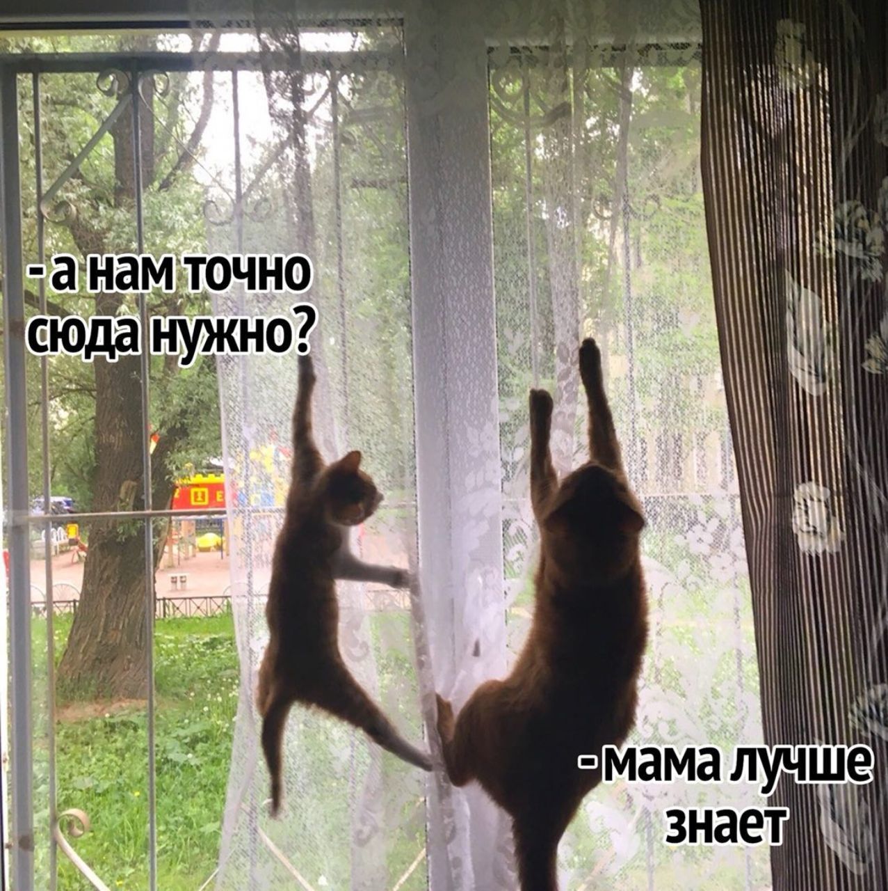 а нам И iN MaMa лучше знает