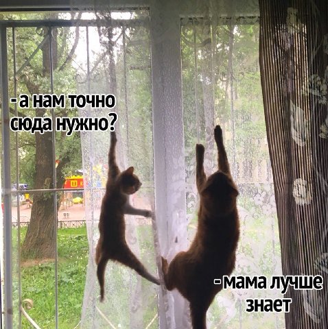 а нам И iN MaMa лучше знает