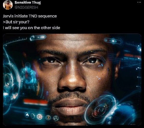 4 $ensitive Thug Jarvis initiate TND sequence >But sir your? will see you on the other side а