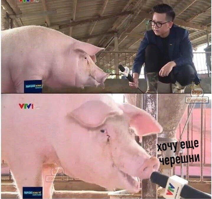 4 чер