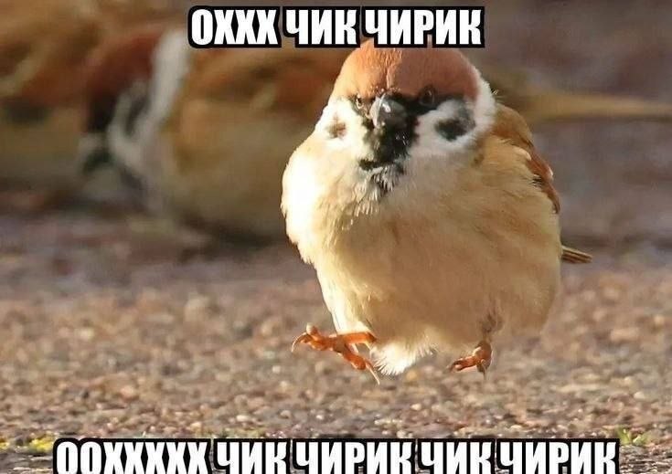 Проспал