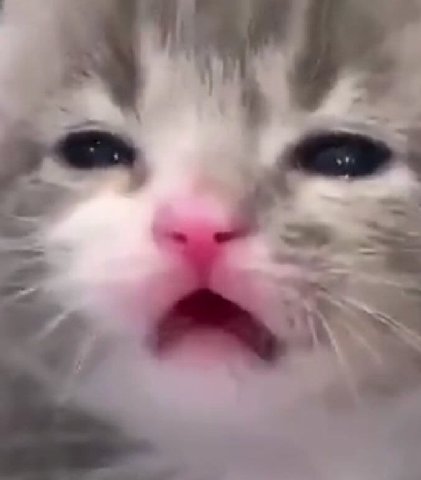 por