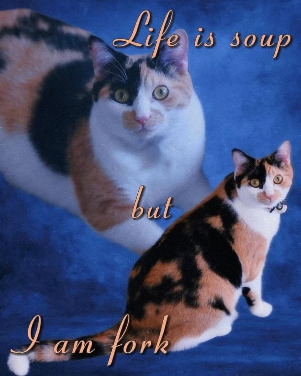 30 up