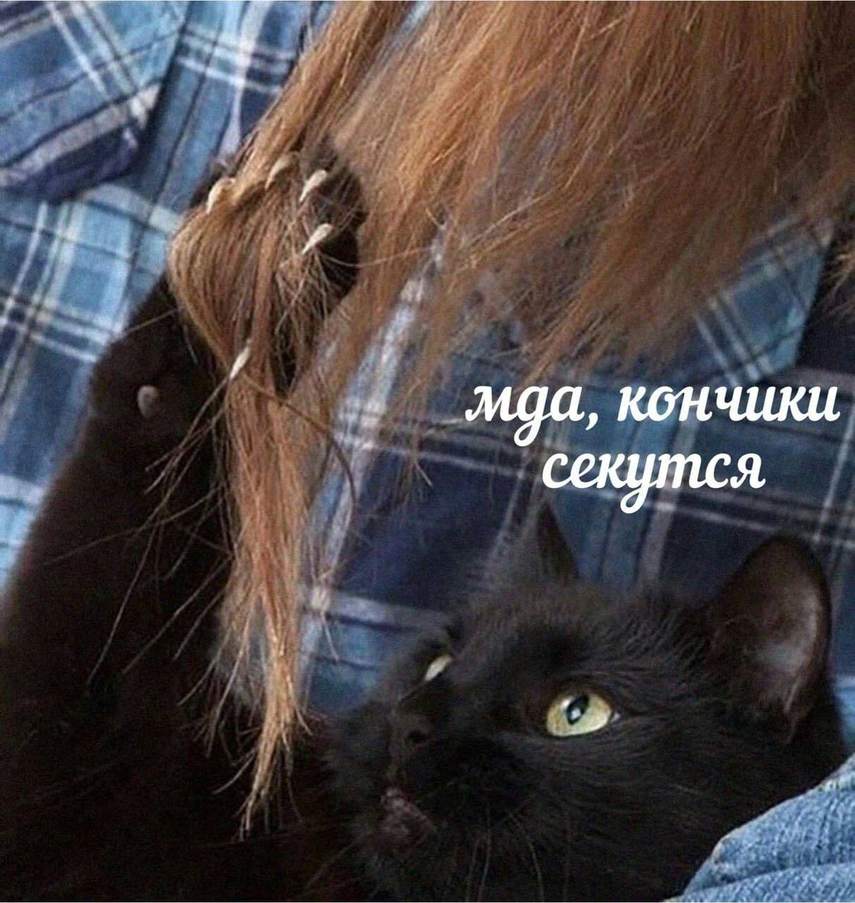 кончики секутся