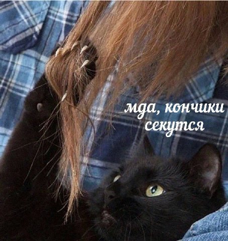 кончики секутся