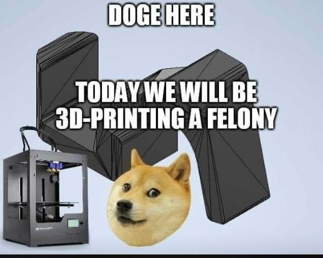 DOGEHERE A FELONY,