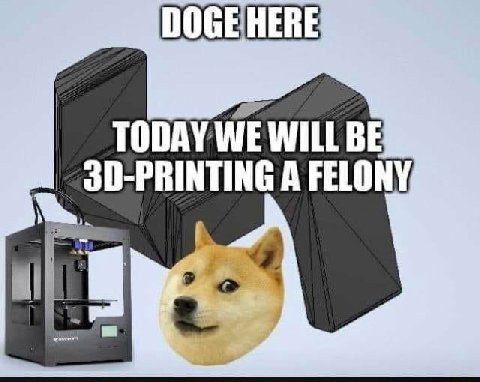 DOGEHERE A FELONY,