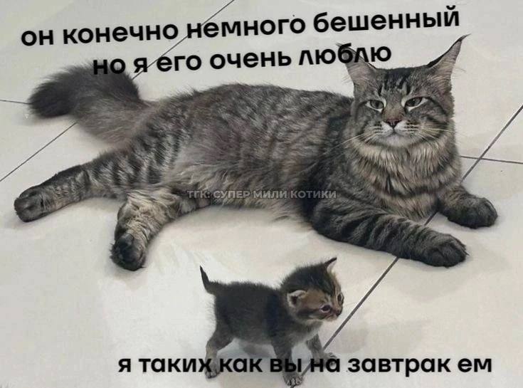 Это мы с Павлой попеременно