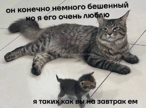 Это мы с Павлой попеременно