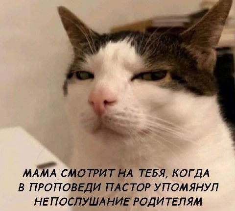 МАМА СМОТРИТ НА ТЕБЯ, КОГДА В ПРОПОВЕДИ ПАСТОР УПОМЯНУЛ НЕПОСЛУШАНИЕ РОДИТЕЛЯМ