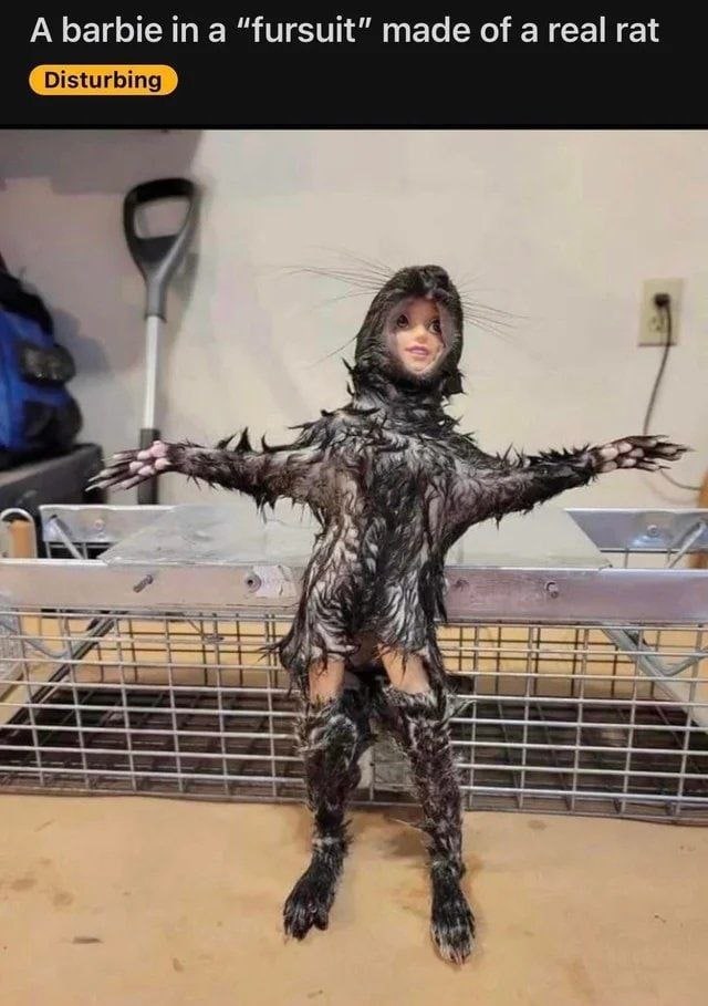 A barbie “fursuit” made of a real rat Disturbing К)