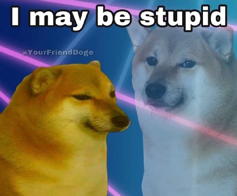 may be stupid