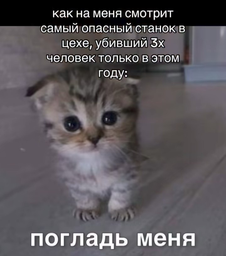 как на меня смотрит самый опасный станок в цехе, убивший человек только в этом году: погладь меня