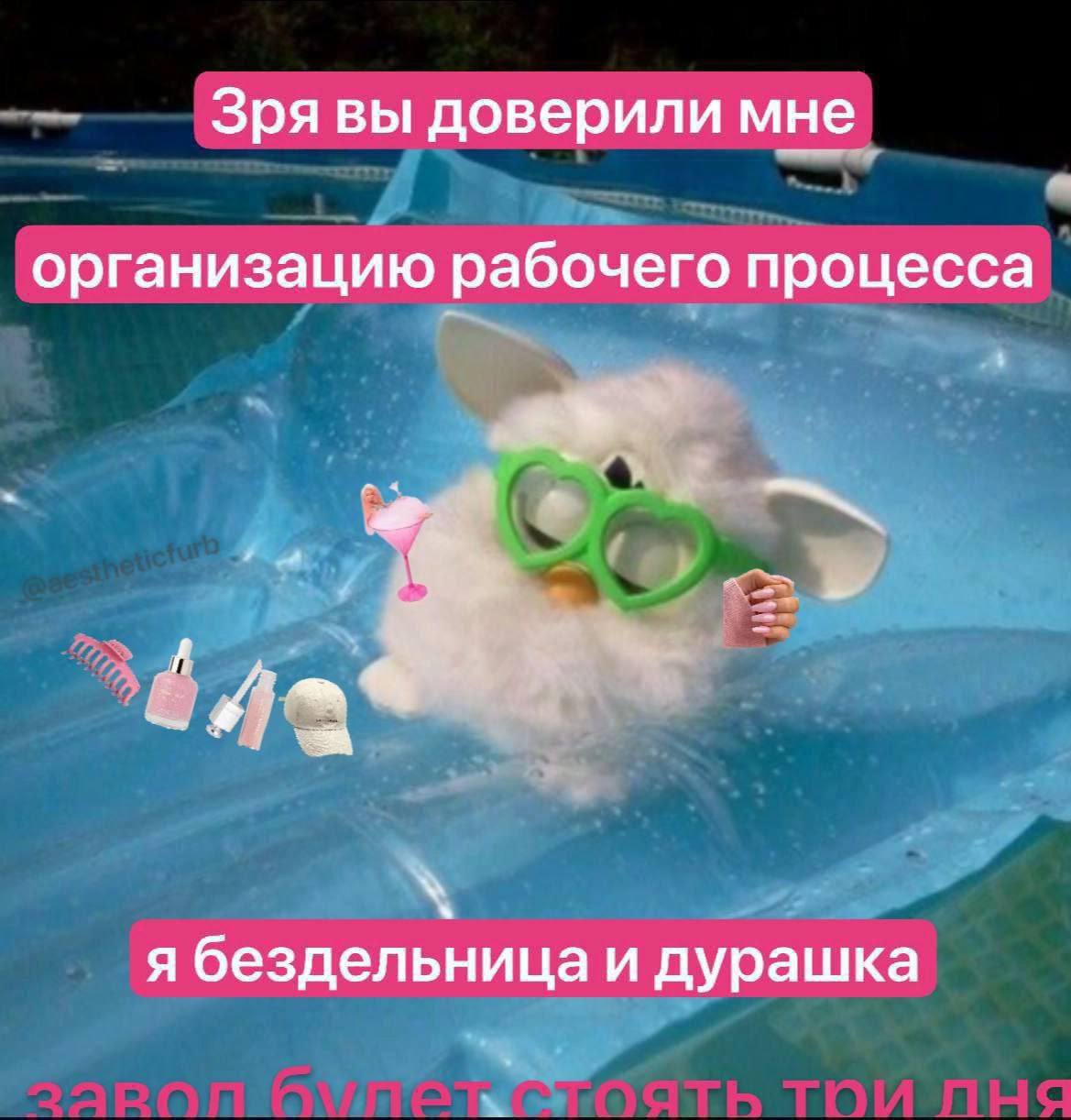 Зря вы доверили мне организацию рабочего процесса я бездельница и дурашка