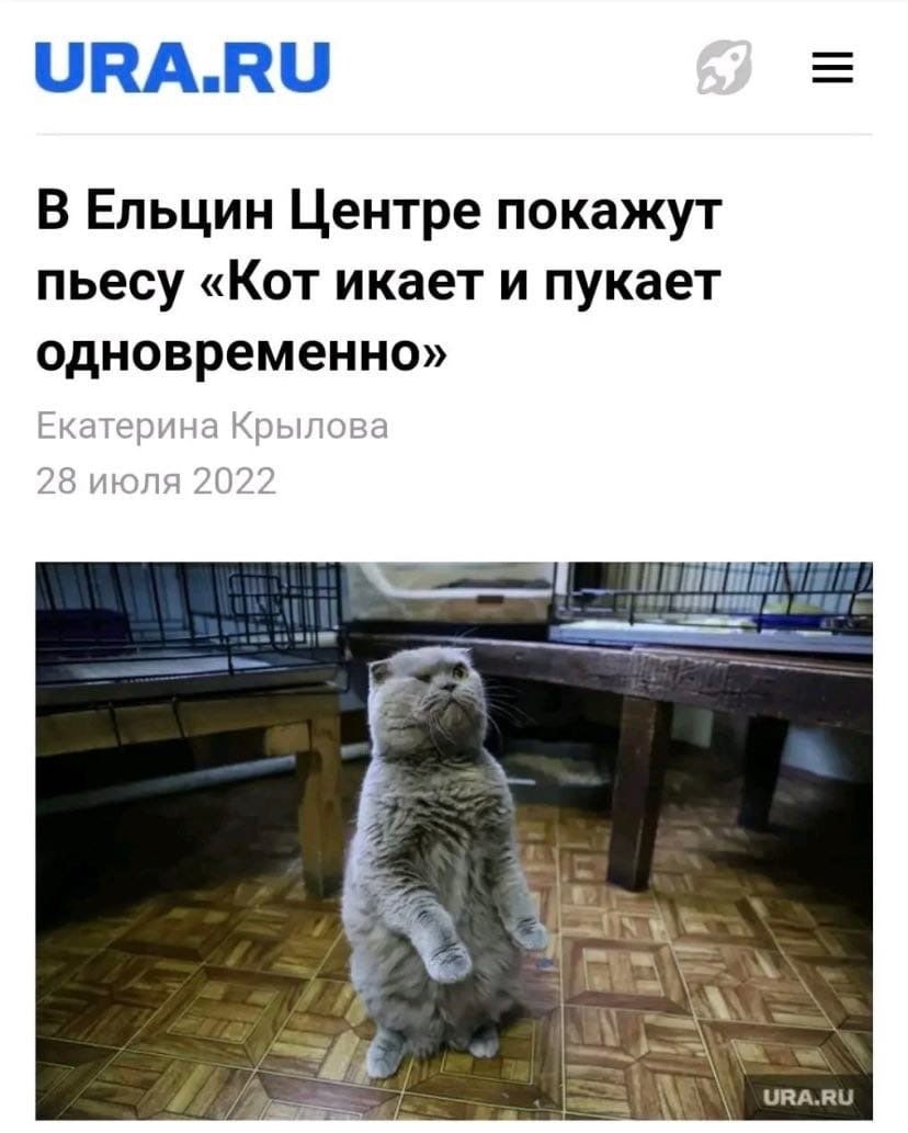 URA.RU В Ельцин Центре покажут пьесу «Кот икает и пукает одновременно» Екатерина Крылова 28 июля 2022 ТЕРЕМ URA.RU