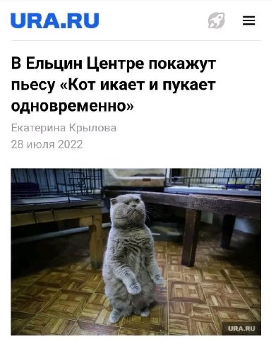 URA.RU В Ельцин Центре покажут пьесу «Кот икает и пукает одновременно» Екатерина Крылова 28 июля 2022 ТЕРЕМ URA.RU