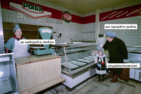 вы продоёте рыбов да выбирайте любую